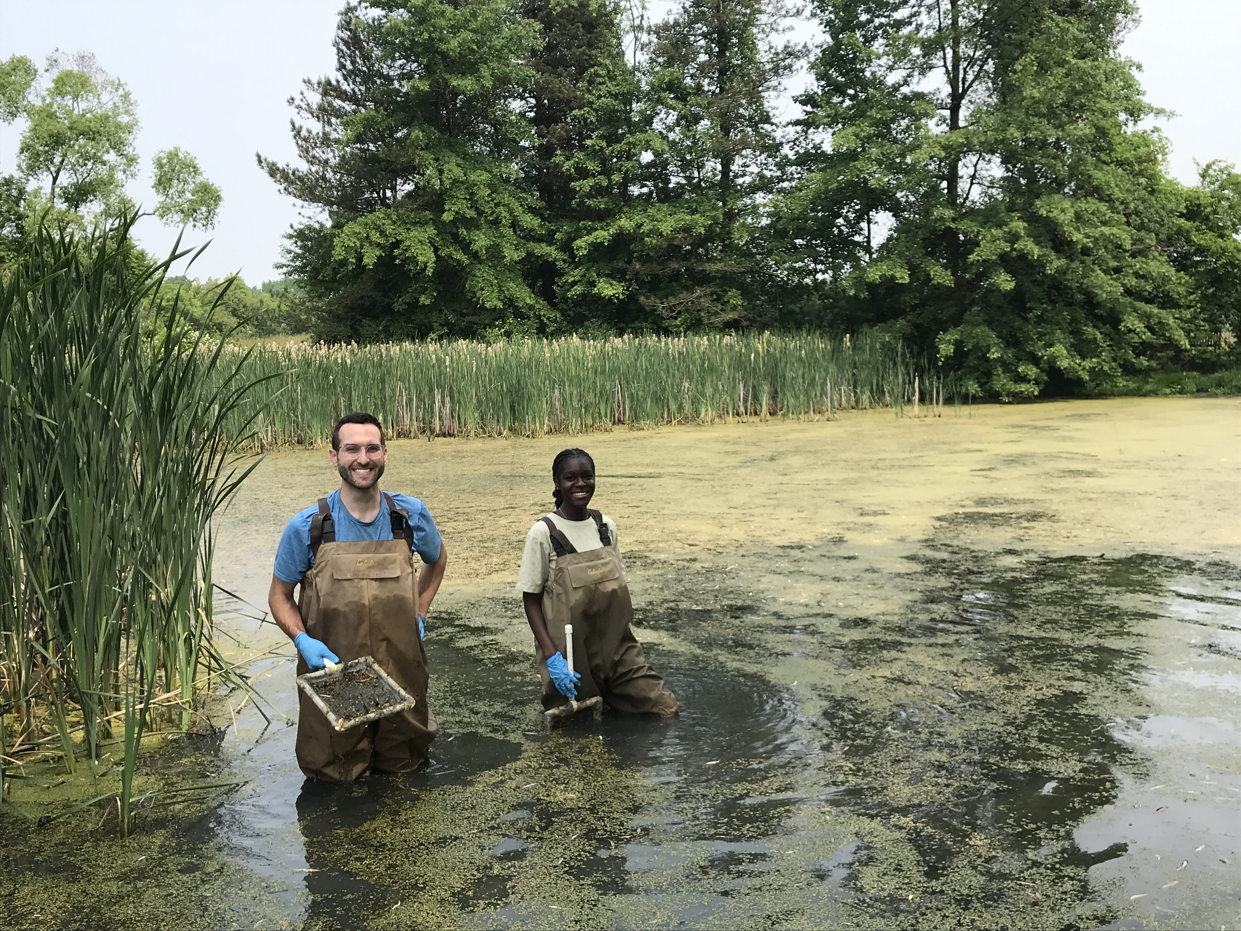 Collecting specimens in a pond.