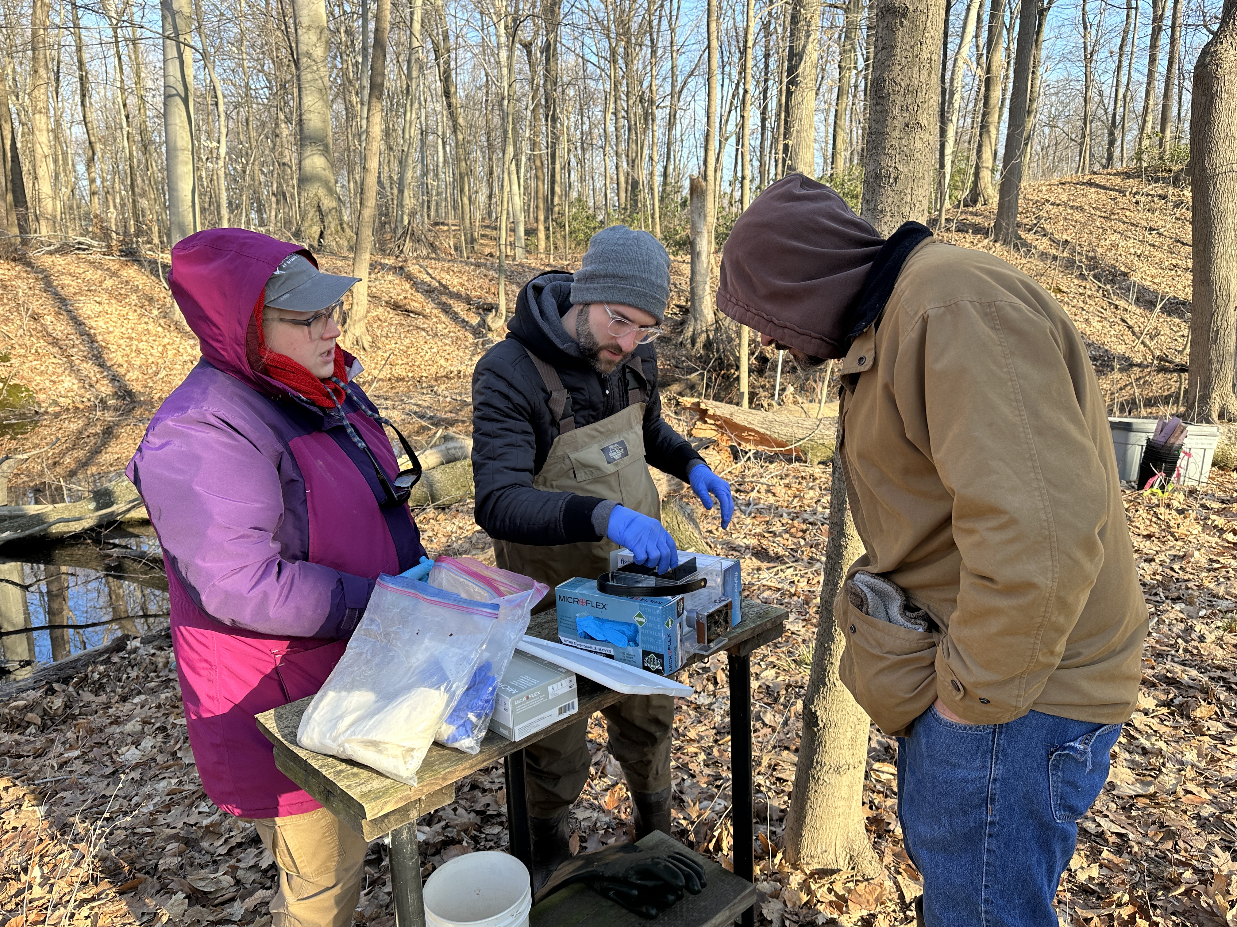 Preparing salamanders for photographing.